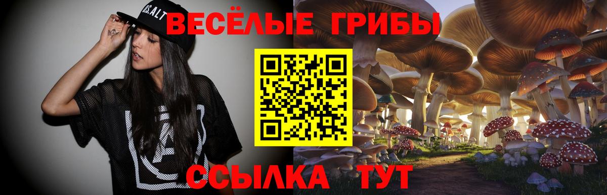 Псилоцибиновые грибы MAGIC MUSHROOMS Алейск